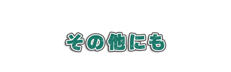 その他にも