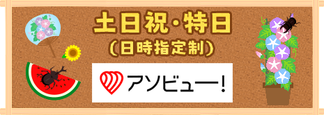 アソビュー！バナー 土日祝・特日（日時指定制）