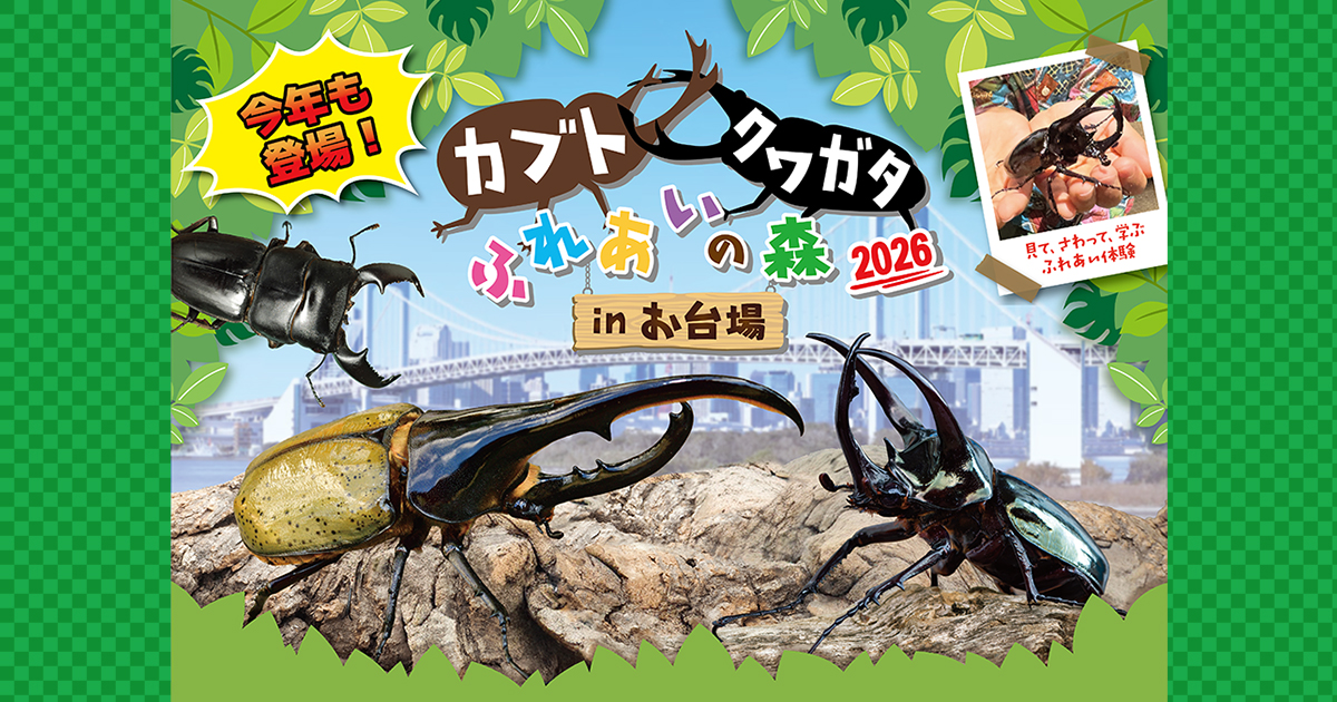 カブトクワガタふれあいの森 in 台場 2026