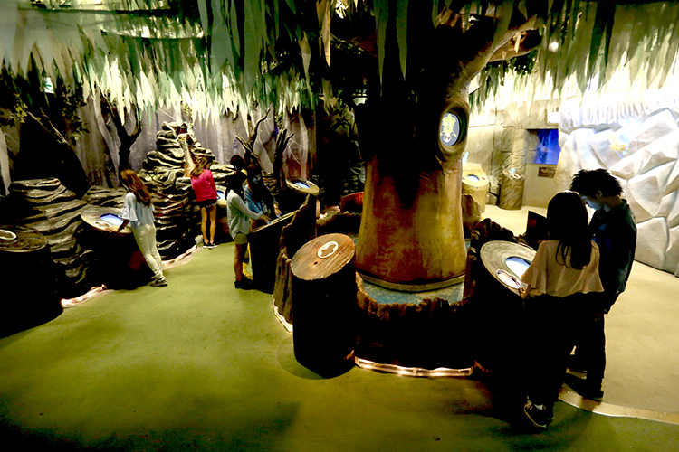 アトラクション フォーチュンフォレストのイメージ画像