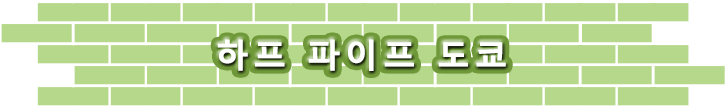 하프 파이프 도쿄