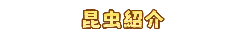 昆虫紹介