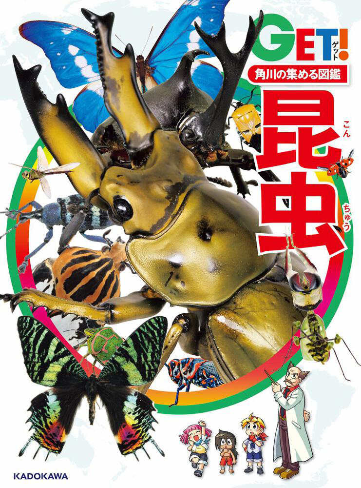 昆虫図鑑閲覧のイメージ画像