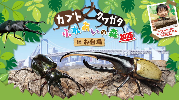 カブト・クワガタふれあいの森2025
